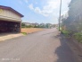 1号地 