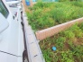 6号地  2025/06/27m
