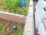 5号地  2025/06/27m