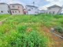 5号地  2025/06/27m