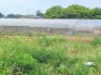 2号地  2025/06/27m