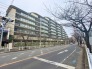 新柏駅が目の前！春には桜が満開になりお散歩も素敵な並木道です！