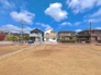 1号地 