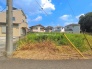 1号地 