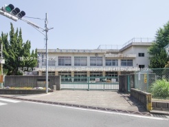 松戸市八ケ崎緑町