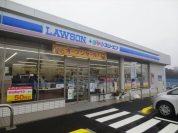ローソン・スリーエフ柏高柳南店